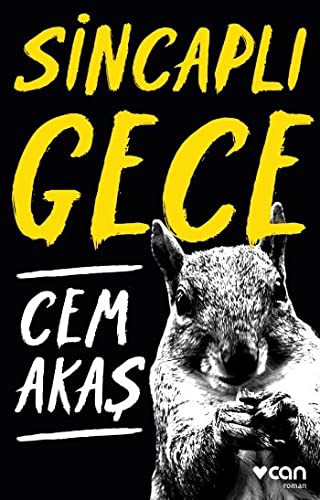 Sincaplı Gece kitap kapağı