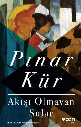 Akışı Olmayan Sular kitap kapağı
