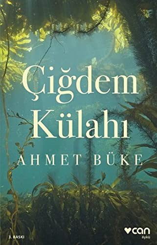 Çiğdem Külahı kitap kapağı