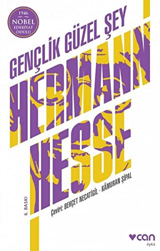 Gençlik Güzel Şey kitap kapağı