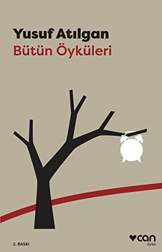 Bütün Öyküleri kitap kapağı