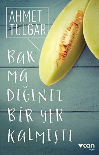 Bakmadığınız Bir Yer Kalmıştı kitap kapağı