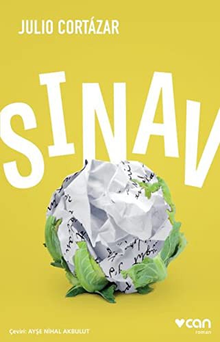 Sınav kitap kapağı