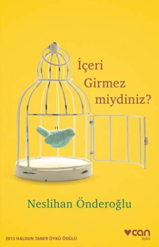 İçeri Girmez Miydiniz? kitap kapağı