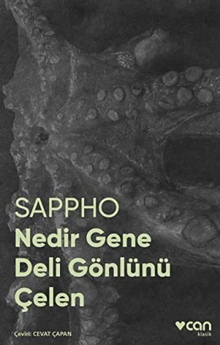 Nedir Gene Deli Gönlünü Çelen (Fotoğraflı Klasikler) kitap kapağı