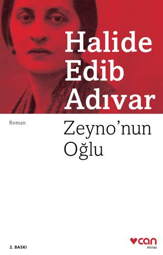 Zeyno'nun Oğlu kitap kapağı