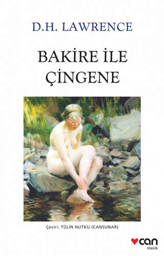 Bakire ile Çingene (Beyaz Kapak) kitap kapağı