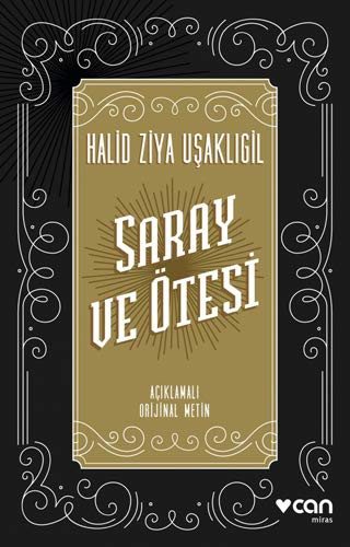 Saray ve Ötesi kitap kapağı