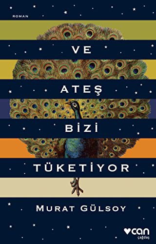 Ve Ateş Bizi Tüketiyor kitap kapağı