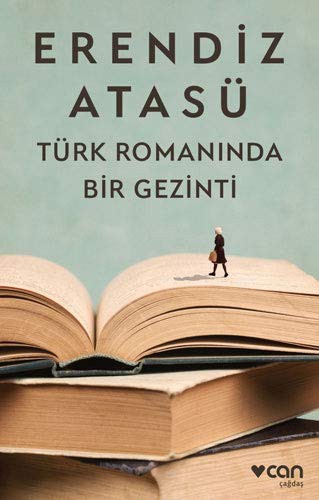 Türk Romanında Bir Gezinti kitap kapağı