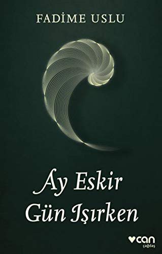 Ay Eskir Gün Işırken kitap kapağı