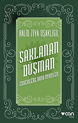 Saklanan Düşman & Erkeklere Dair Öyküler kitap kapağı