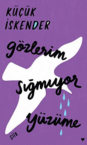 Gözlerim Sığmıyor Yüzüme (Ciltli Baskı) kitap kapağı
