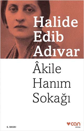 Akile Hanım Sokağı kitap kapağı