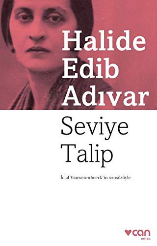 Seviye Talip kitap kapağı