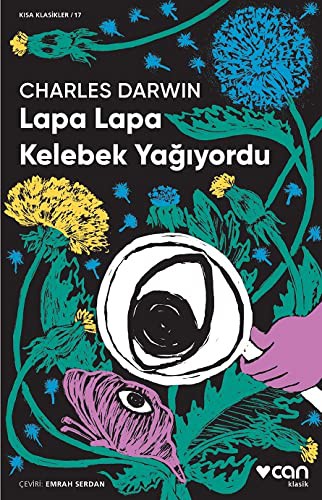 Lapa Lapa Kelebek Yağıyordu (Kısa Klasik) kitap kapağı