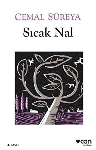 Sıcak Nal kitap kapağı