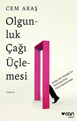 Olgunluk Çağı Üçlemesi kitap kapağı