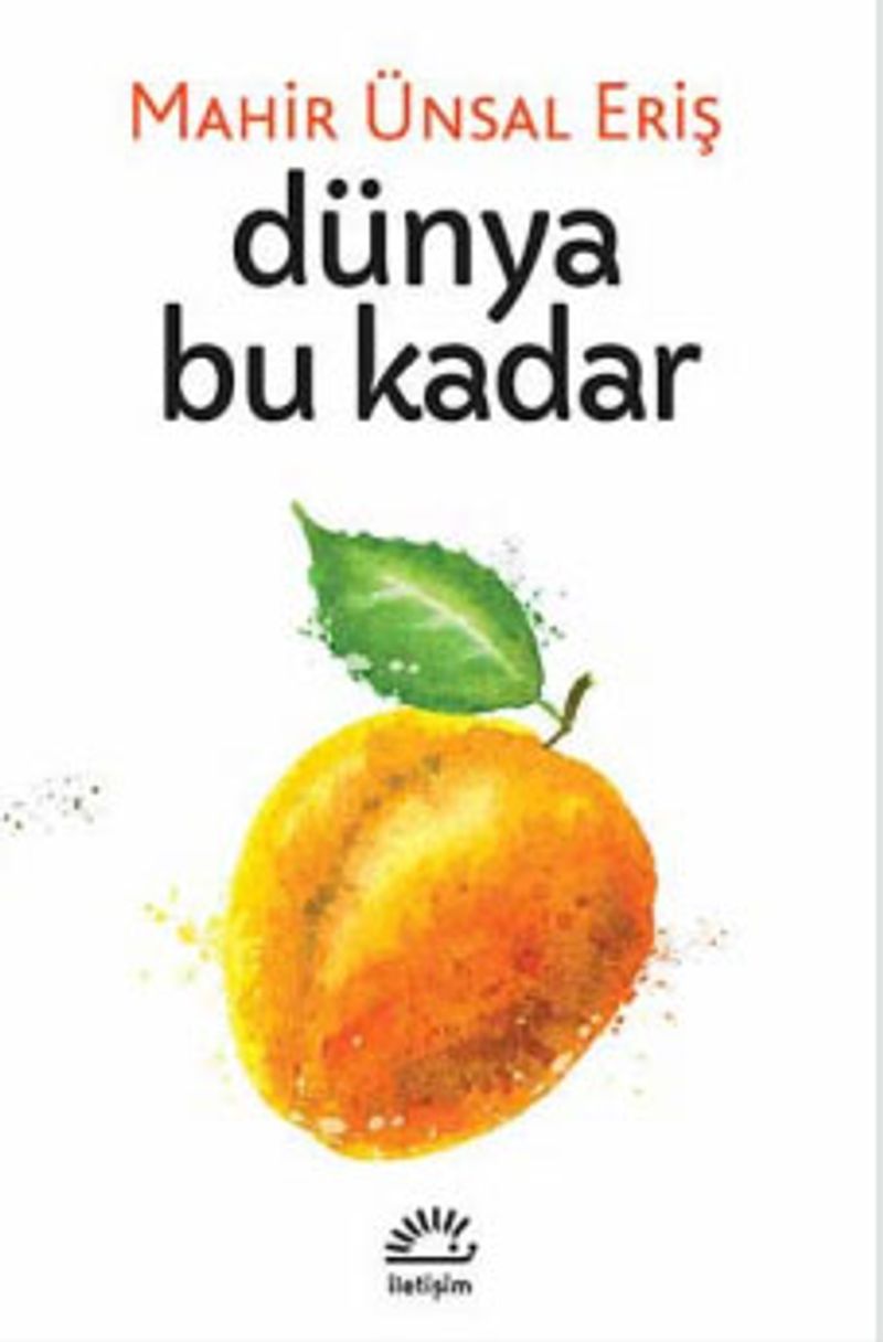Dünya Bu Kadar kitap kapağı