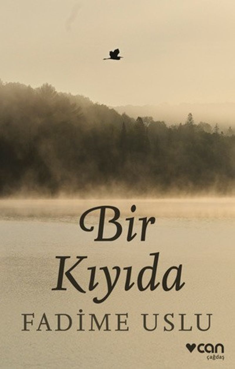 Bir Kıyıda kitap kapağı