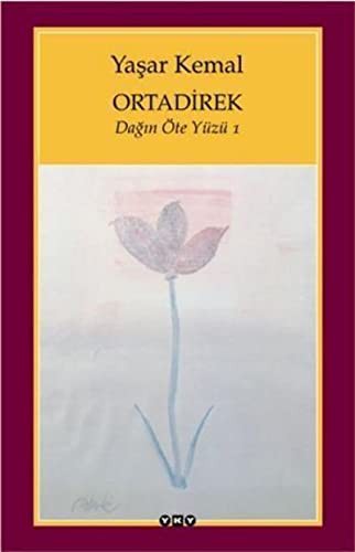 Ortadirek / Dağın Öte Yüzü 1 kitap kapağı