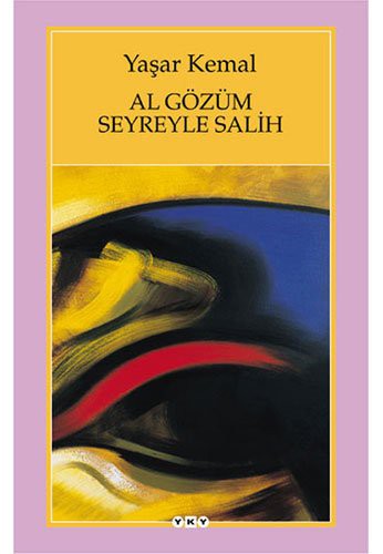Al Gözüm Seyreyle Salih kitap kapağı