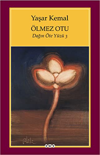 Ölmez Otu / Dağın Öte Yüzü 3 kitap kapağı