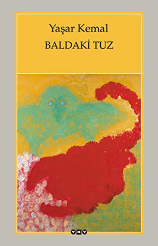 Baldaki Tuz kitap kapağı