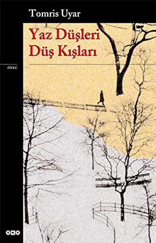 Yaz Düşleri Düş Kışları kitap kapağı