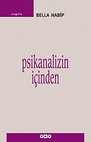 Psikanalizin İçinden kitap kapağı