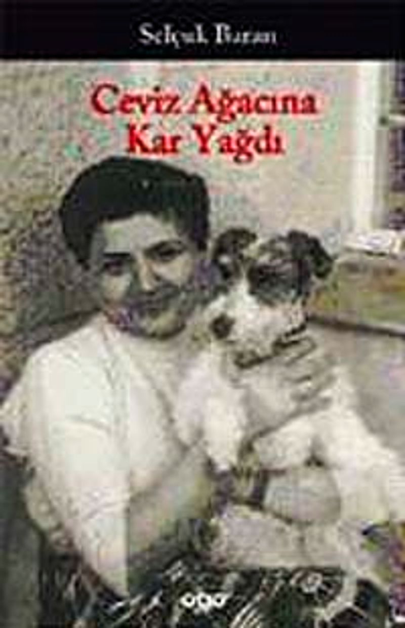 Ceviz Ağacına Kar Yağdı / Bütün Öyküleri kitap kapağı