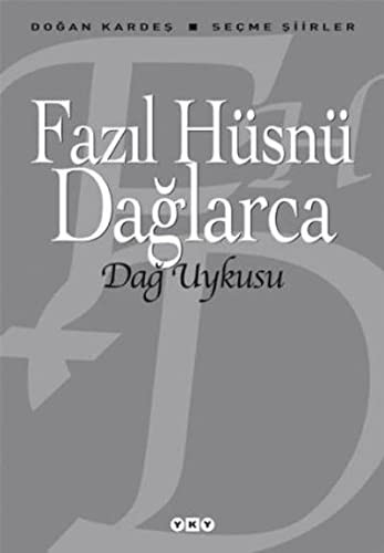 Dağ Uykusu kitap kapağı