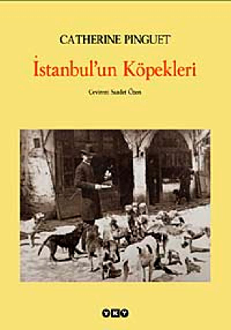 İstanbul'un Köpekleri kitap kapağı