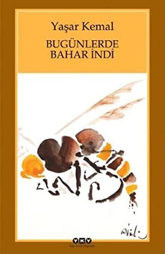 Bugünlerde Bahar İndi (Karton Kapak) kitap kapağı