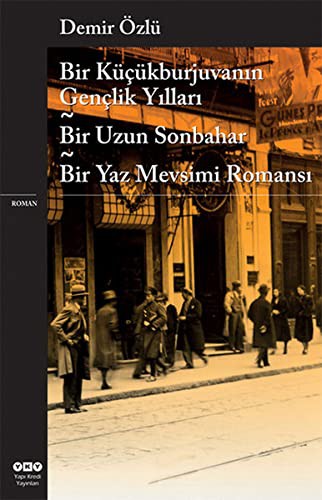 Bir Küçükburjuvanın Gençlik Yılları - Bir Uzun Sonbahar - Bir Yaz Mevsimi Romanı kitap kapağı