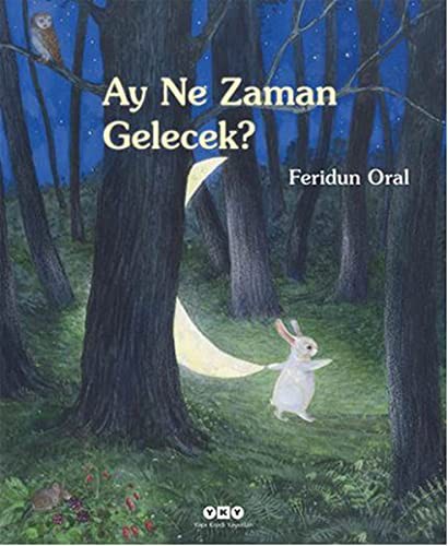 Ay Ne Zaman Gelecek? kitap kapağı