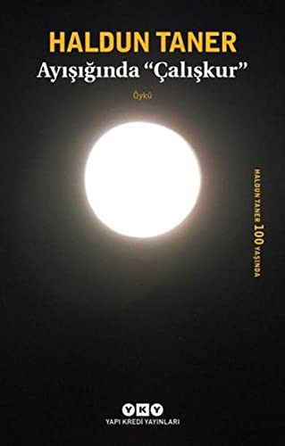 Ayışığında Çalışkur kitap kapağı