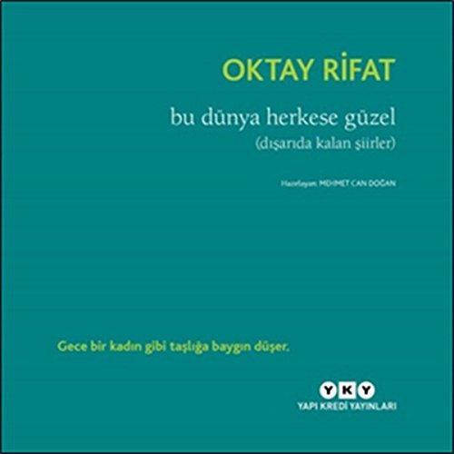 Bu Dünya Herkese Güzel ( Dışarıda Kalan Şiirler) kitap kapağı