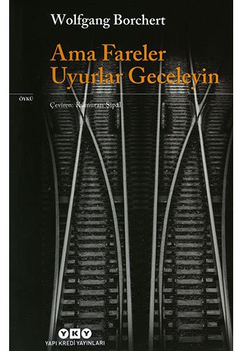 Ama Fareler Uyurlar Geceleyin kitap kapağı