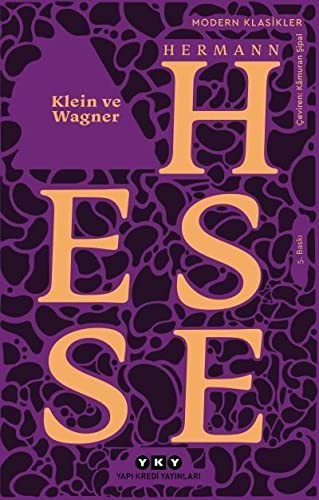 Klein ve Wagner kitap kapağı