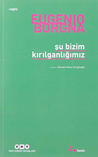 Şu Bizim Kırılganlığımız kitap kapağı