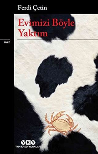 Evimizi Böyle Yaktım kitap kapağı