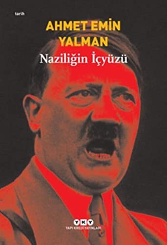 Naziliğin İçyüzü kitap kapağı