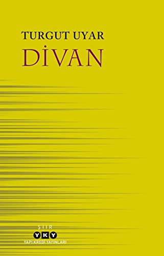Divan kitap kapağı