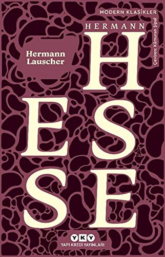 Hermann Lauscher kitap kapağı