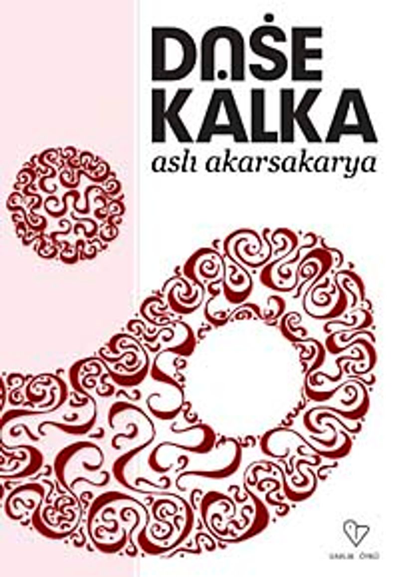 Düşe Kalka kitap kapağı