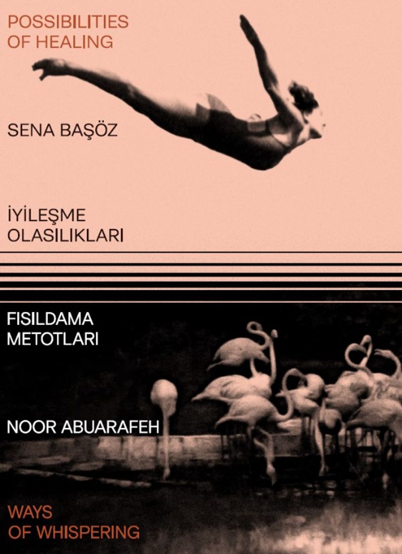 İyileşme Olasılıkları - Fısıldama Metotları kitap kapağı