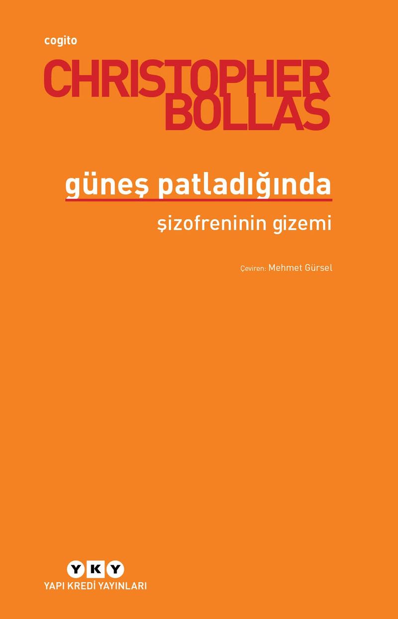 Güneşi Patladığında Şizofreninin Gizemi kitap kapağı