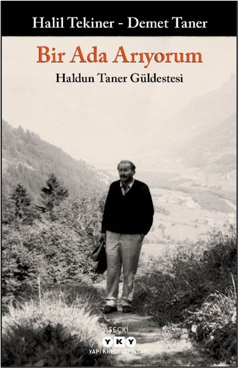 Bir Ada Arıyorum kitap kapağı