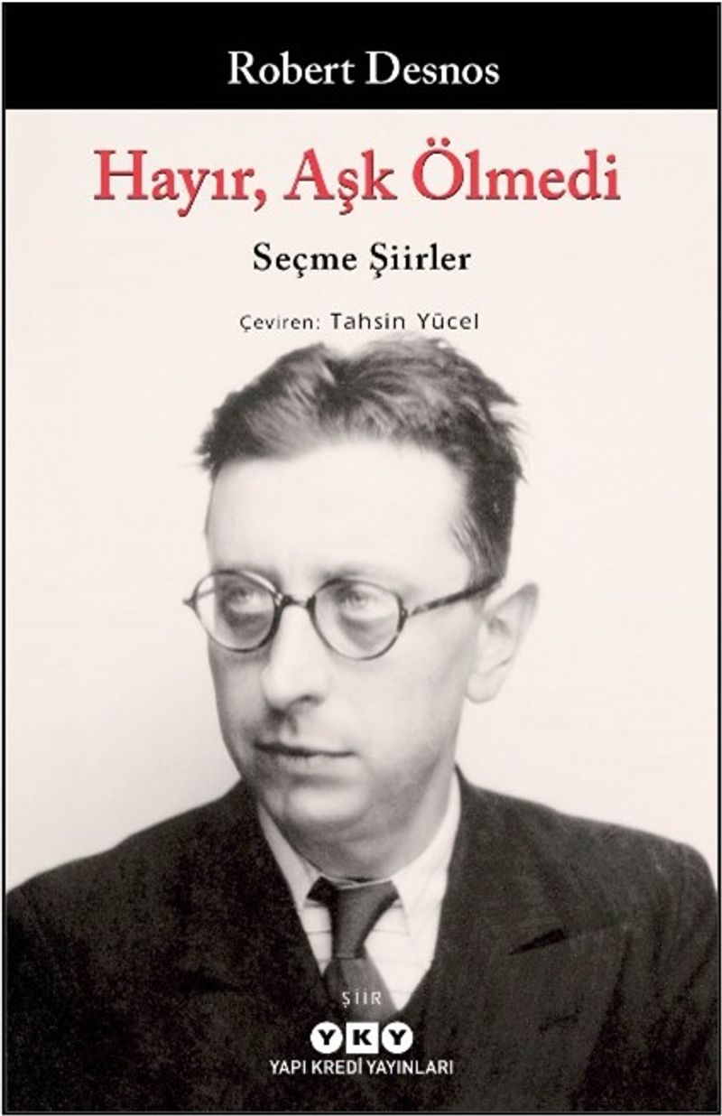 Hayır, Aşk Ölmedi / Seçme Şiirler kitap kapağı